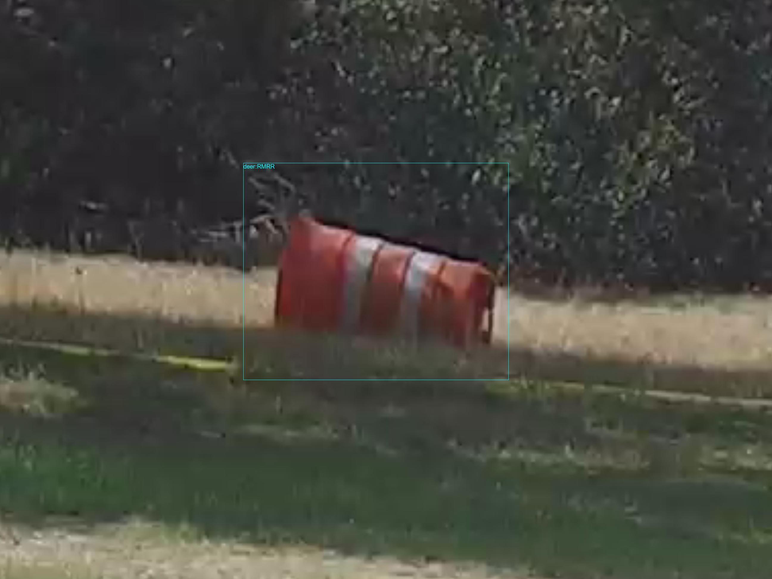 At the feeders: #crittercam #deer 70.91%
DAH695.20251213_101115.6022980.5-0.jpg